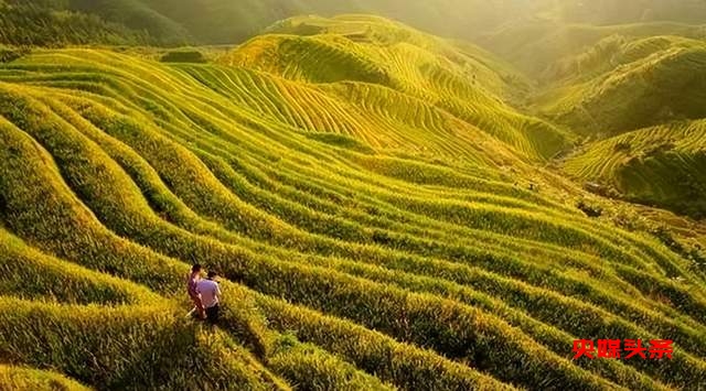 神秘从江 · 养心圣地（探秘非遗体验之旅）