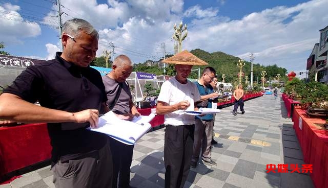 贵州省龙里县盆景艺术盛宴：庆祝中秋国庆，助推旅游与乡村振兴