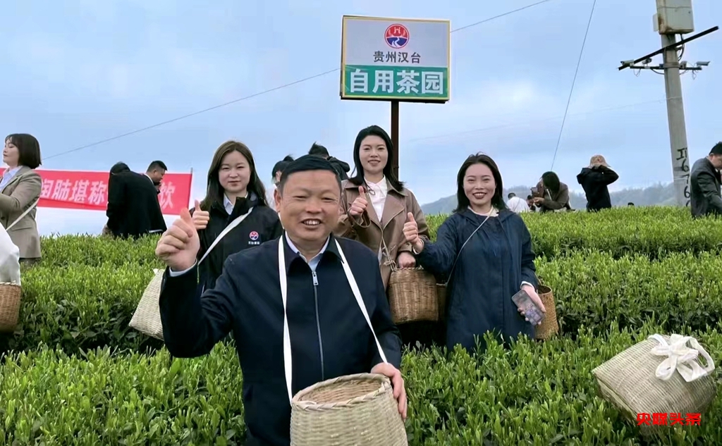 贵州汉台酒业工业反哺农业，王正贤董事长率队深入小弯万亩茶基地助力乡村振兴