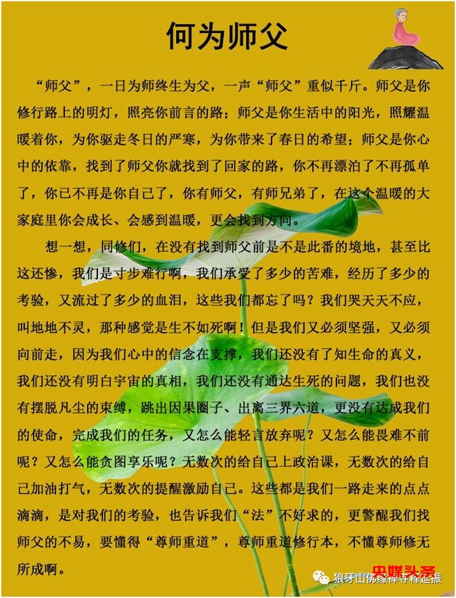 特大好消息！少林医宗三十四代传人释延振第二十四期收徒研习班开始报名，名额有限，机会难得！2024年5月17日-19日不见不散