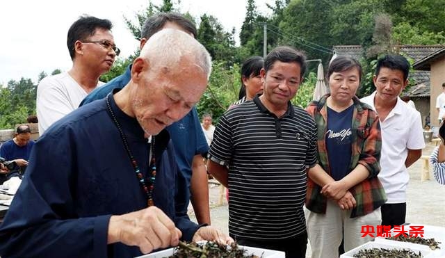 古道寻印象，茶韵避酷暑——金沙清池印象茶庄非遗工坊雅集活