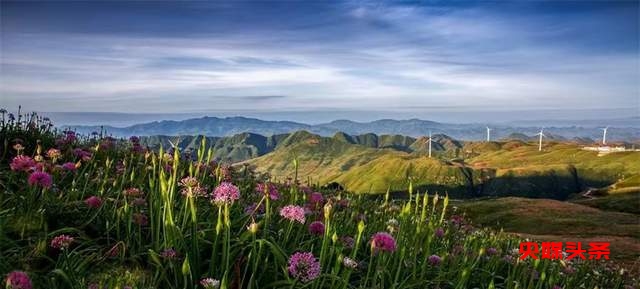 寻美毕节：韭菜花开，紫色梦境的浪漫邀约