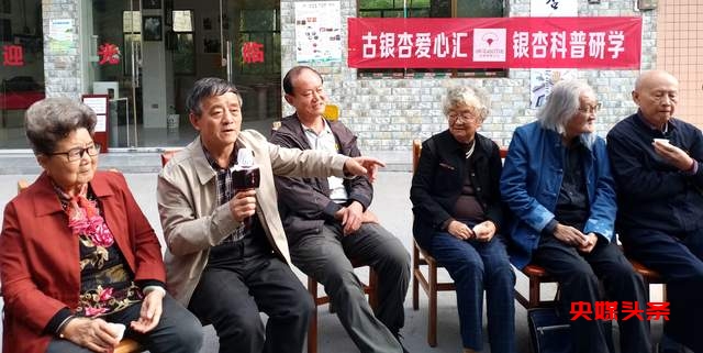 贵州白云牛场石龙村：探秘千年古银杏，领略民族文化之美