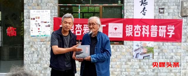 贵州白云牛场石龙村：探秘千年古银杏，领略民族文化之美