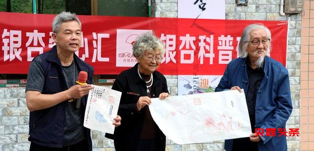 贵州白云牛场石龙村：探秘千年古银杏，领略民族文化之美