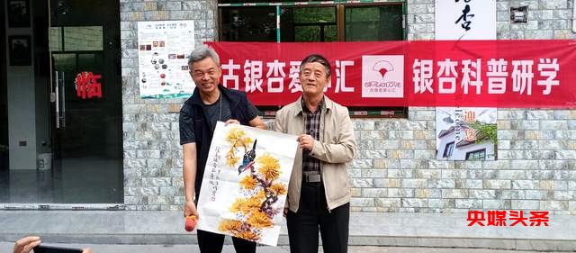 贵州白云牛场石龙村：探秘千年古银杏，领略民族文化之美