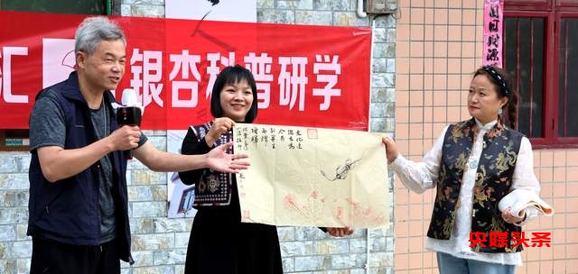 贵州白云牛场石龙村：探秘千年古银杏，领略民族文化之美