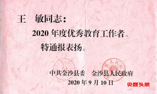 贵州省毕节市金沙县第九幼儿园副园长王敏展现卓越教育成就