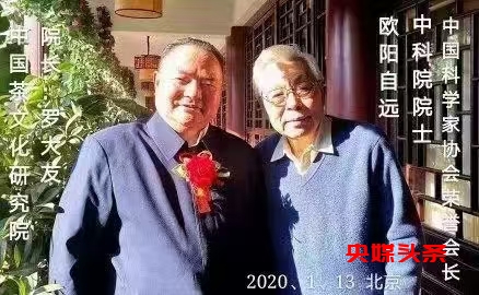 中国茶文化研究院院长罗大友向全国人民拜年