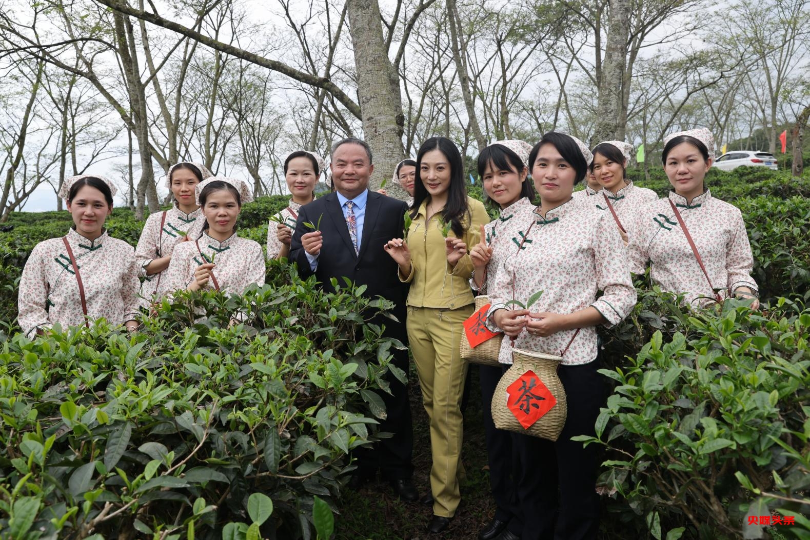 开辟新征程 奋进新时代—两会重点推荐茶文化形象大使罗大友